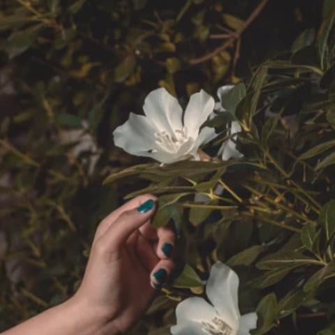 Mano de Camila tocando una flor blanca